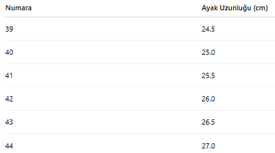ERKEK TARZ KLASİK AYAKKABI 250