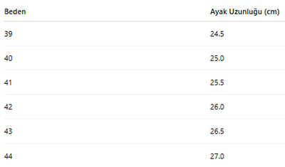 ERKEK SPOR AYAKKABI 554