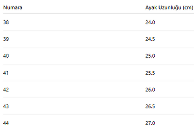 ERKEK TARZ KIŞLIK BOT 176