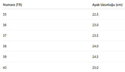 KADIN TARZ KIŞLIK BOT 284