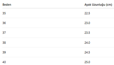 KADIN TARZ TOPUKLU AYAKKABI 204