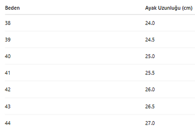 ERKEK TARZ KLASİK AYAKKABI 246