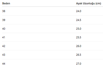 ERKEK TARZ KLASİK AYAKKABI 160