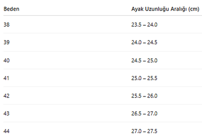 ERKEK TARZ KLASİK AYAKKABI 200
