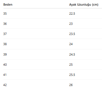 KADIN TARZ KIŞLIK BOT 190