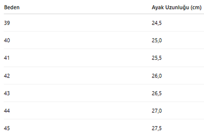 ERKEK TARZ KLASİK AYAKKABI 256