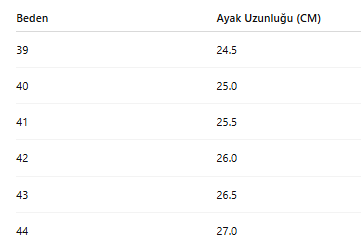 ERKEK TARZ KLASİK AYAKKABI 410
