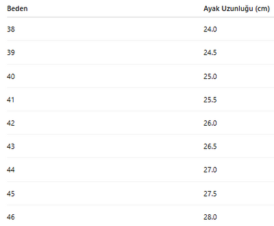 ERKEK TARZ KLASİK AYAKKABI 431