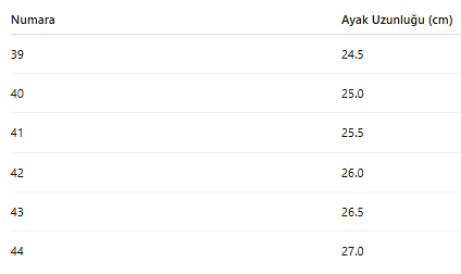 ERKEK TARZ KIŞLIK BOT 171