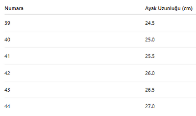ERKEK TARZ KIŞLIK BOT 171
