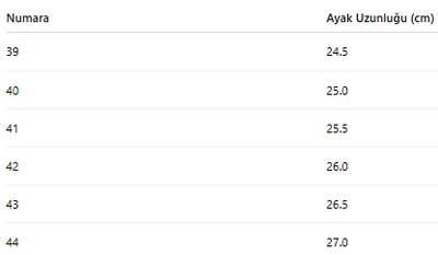 ERKEK TARZ KIŞLIK BOT 177