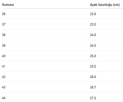 ERKEK TARZ KIŞLIK BOT 163