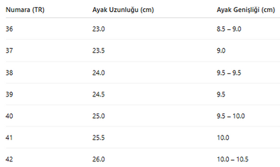 KADIN TARZ KIŞLIK BOT 275