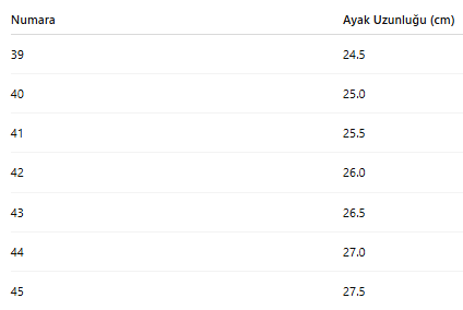 ERKEK TARZ KIŞLIK BOT 179