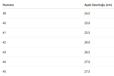 ERKEK TARZ KIŞLIK BOT 179