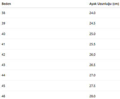 ERKEK TARZ KLASİK AYAKKABI 416