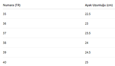 KADIN TARZ KIŞLIK BOT 249
