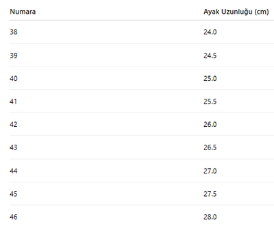 ERKEK TARZ KLASİK AYAKKABI 411