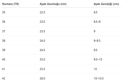 KADIN TARZ KIŞLIK BOT 260