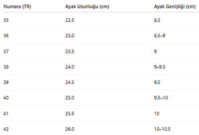KADIN TARZ KIŞLIK BOT 260