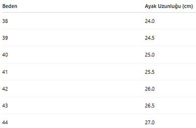 ERKEK SPOR AYAKKABI 424