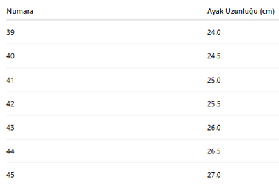 ERKEK TARZ KIŞLIK BOT 180