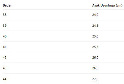 ERKEK TARZ KLASİK AYAKKABI 447