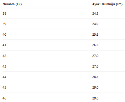 KADIN TARZ KIŞLIK BOT 240