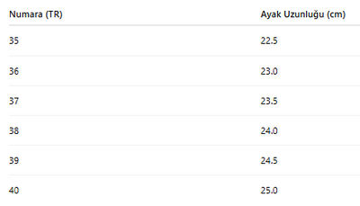 KADIN TARZ KIŞLIK BOT 281
