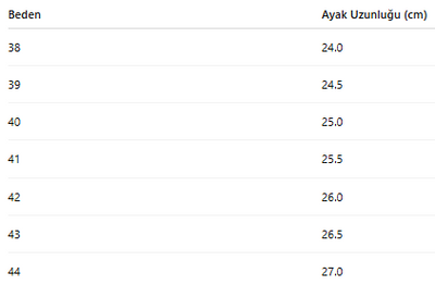 ERKEK TARZ KLASİK AYAKKABI 258