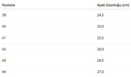 ERKEK TARZ KIŞLIK BOT 186