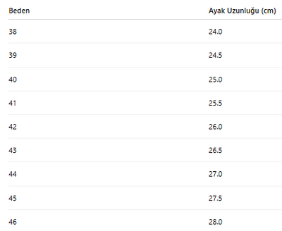 ERKEK TARZ KLASİK AYAKKABI 176