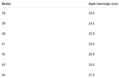 ERKEK TARZ KLASİK AYAKKABI 217