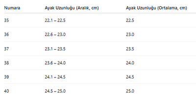 KADIN TARZ SPOR AYAKKABI 133