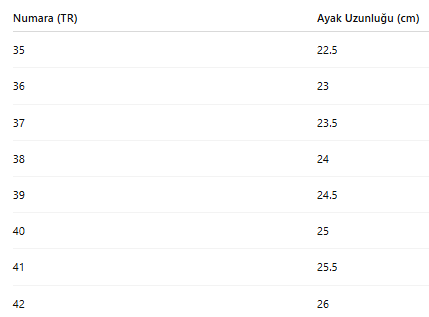 KADIN TARZ KIŞLIK BOT 231