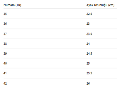 KADIN TARZ KIŞLIK BOT 231
