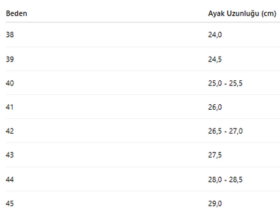 ERKEK TARZ KLASİK AYAKKABI 442