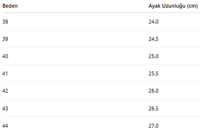 ERKEK TARZ KLASİK AYAKKABI 429
