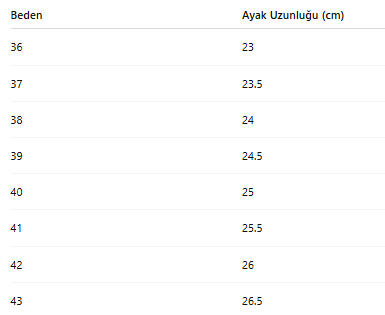 KADIN TARZ KIŞLIK BOT 191