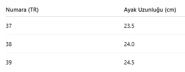 KADIN TARZ KIŞLIK BOT 101