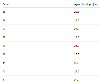 KADIN TARZ TOPUKLU AYAKKABI 103