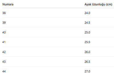 ERKEK TARZ KIŞLIK BOT 164