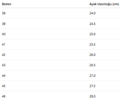 ERKEK TARZ KLASİK AYAKKABI 407
